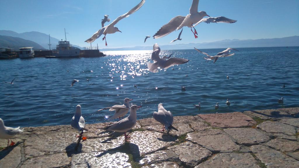 'By The Lake' Apartments Ohrid Extérieur photo